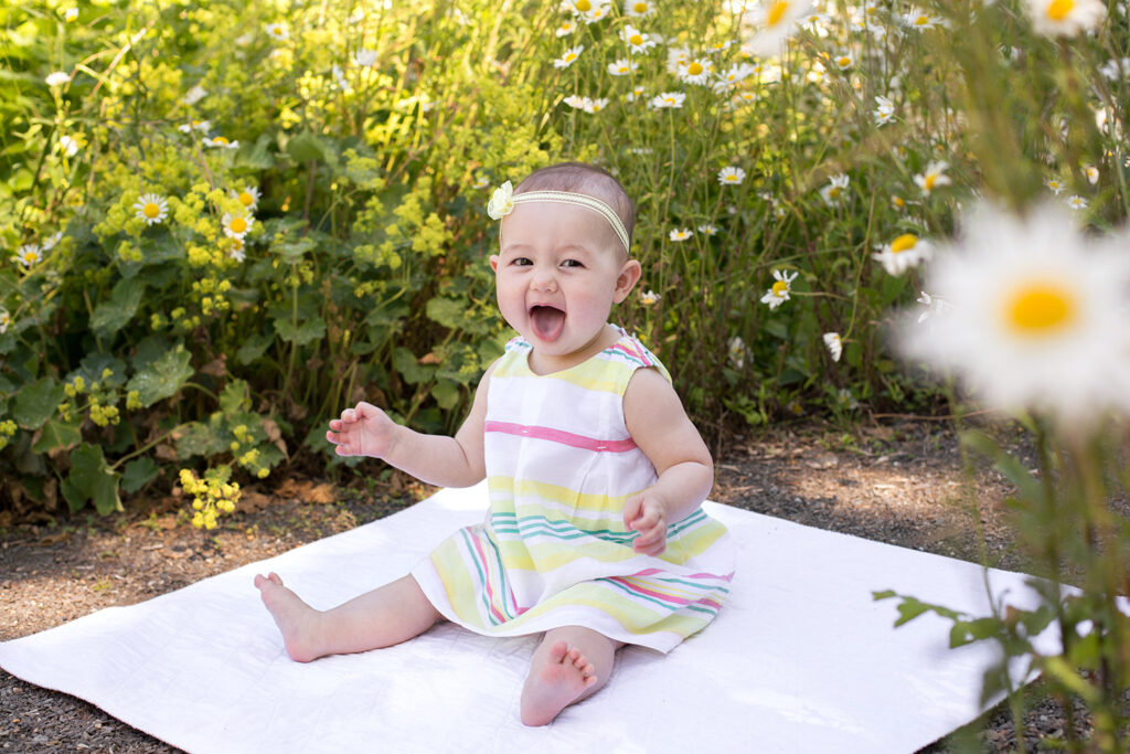 A baby girl is sitting on a blanket in a pathway with vibrant daisies surrounding her at Heritage Hall in Kirkland, Washington. She is wearing a colorful striped dress and a small yellow flower headband. She is looking at the camera with her tongue sticking out.